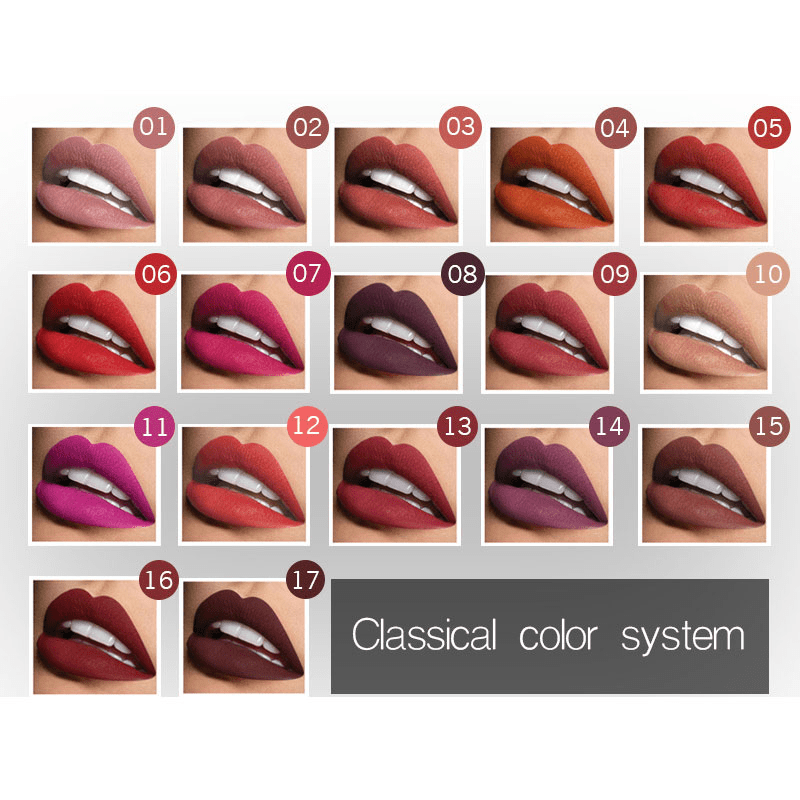 Sexy Matte Liquid Mixed Shades Lipstick