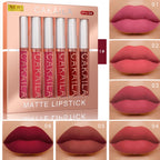 6pcs of lip gloss