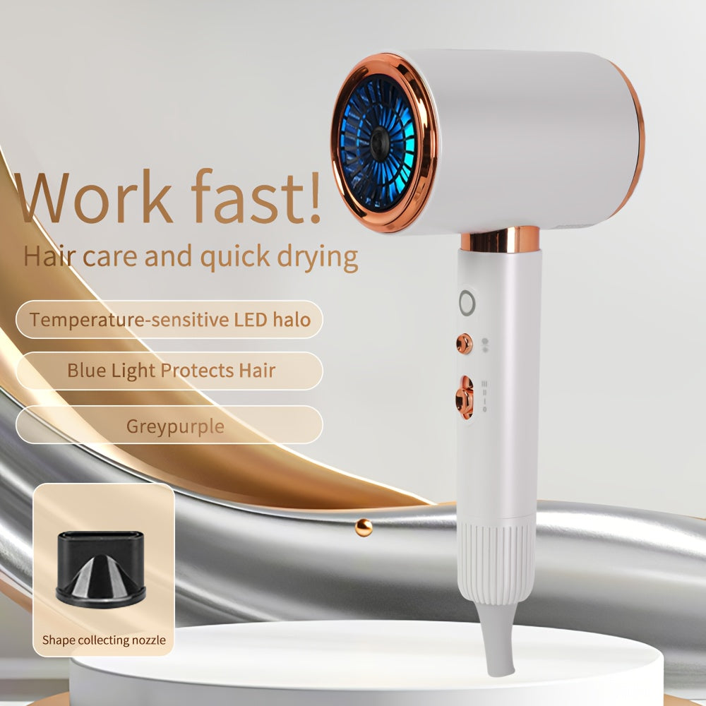 Powerful Ionic Hair Dryer with Diffuser
