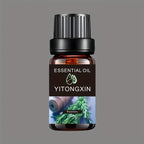 Various Scented Essential Oils for Humidifiers