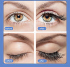 Magnetic False Eyelashes with Applicator