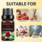 Various Scented Essential Oils for Humidifiers
