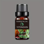 Various Scented Essential Oils for Humidifiers