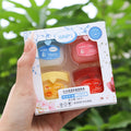 Lip Balm Gift Set Fruit Flavored Lip Mask
