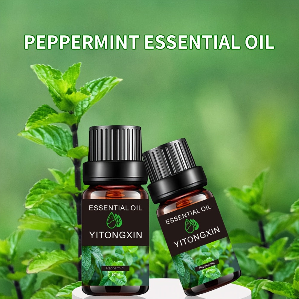 Various Scented Essential Oils for Humidifiers
