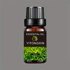 Various Scented Essential Oils for Humidifiers