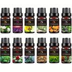 Various Scented Essential Oils for Humidifiers