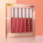6pcs of lip gloss