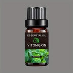 Various Scented Essential Oils for Humidifiers