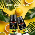 Various Scented Essential Oils for Humidifiers